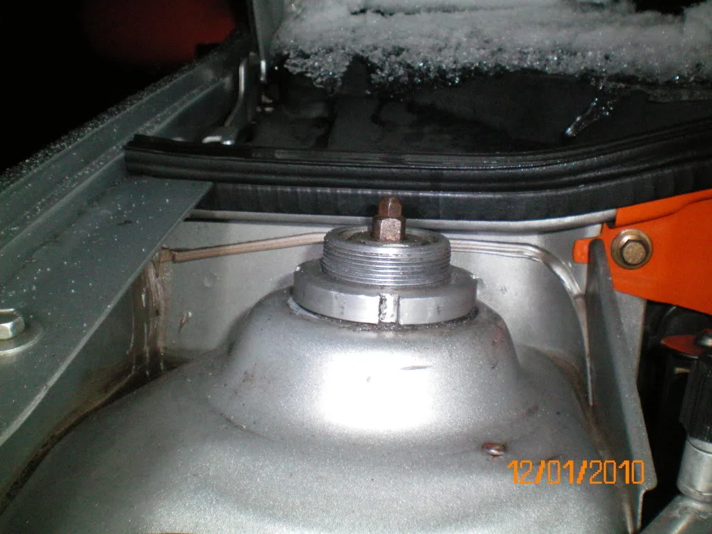 100_0045.webp