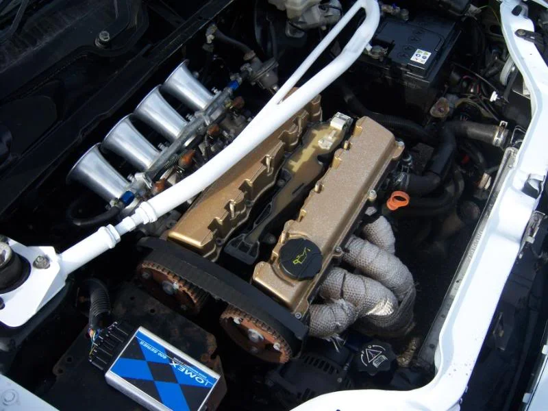 100_0101.webp