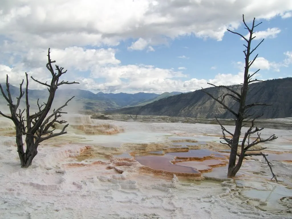100_0245.webp