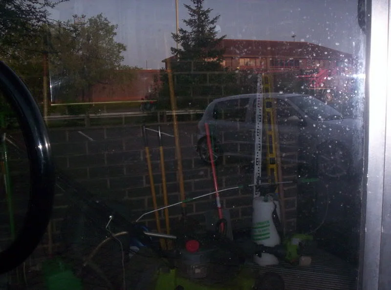 100_0277.webp