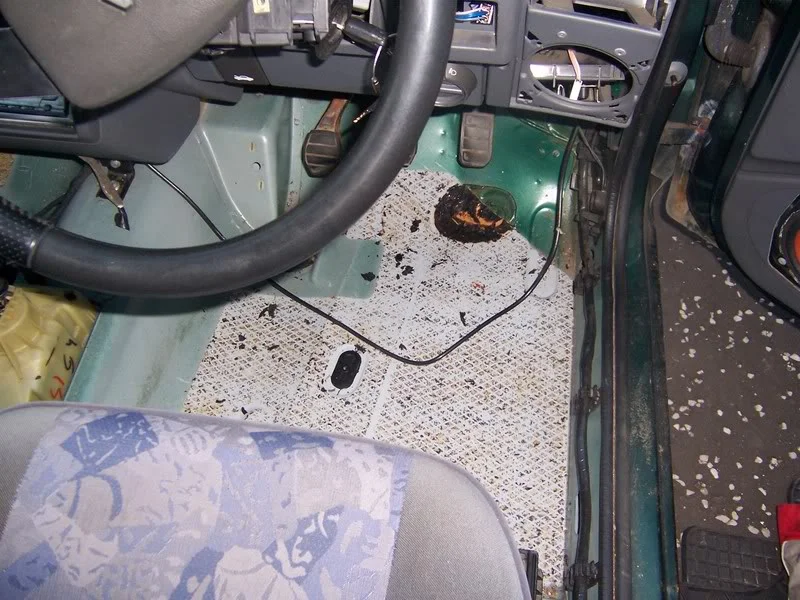 100_0279.webp