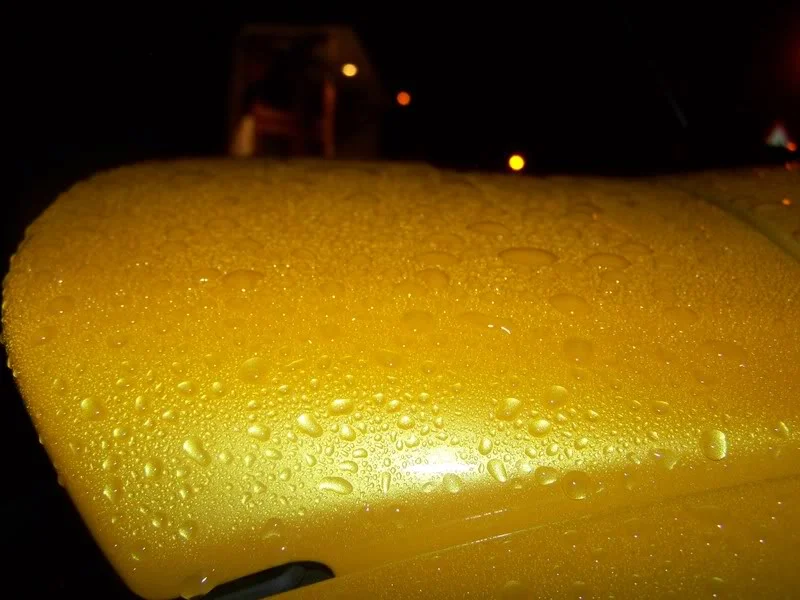 100_0286.webp