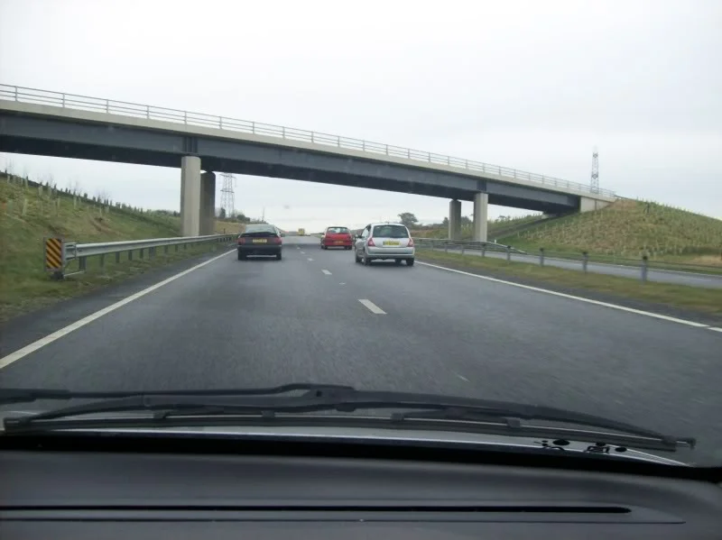 100_0298.webp