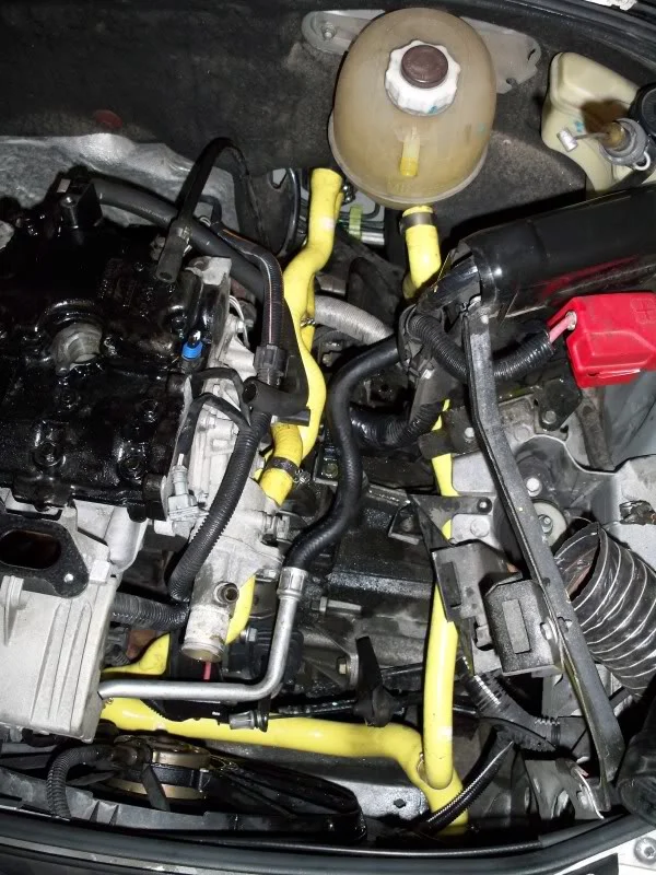 100_0399.webp