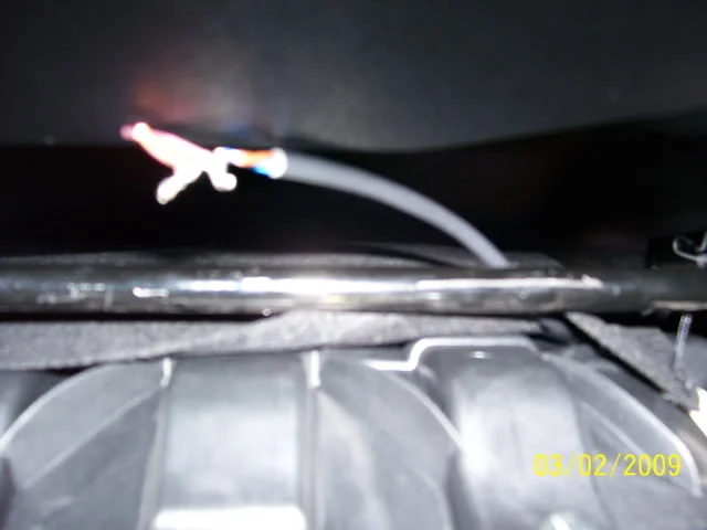 100_0410.webp