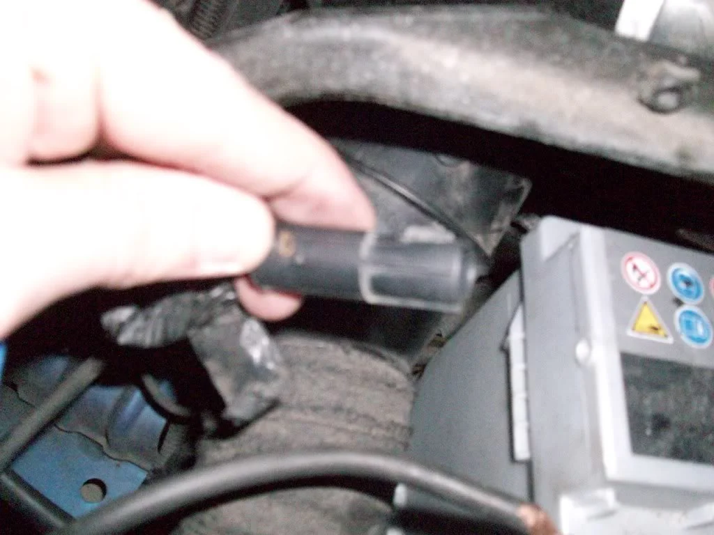 100_0455.webp