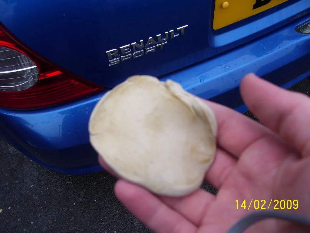 100_0471.webp