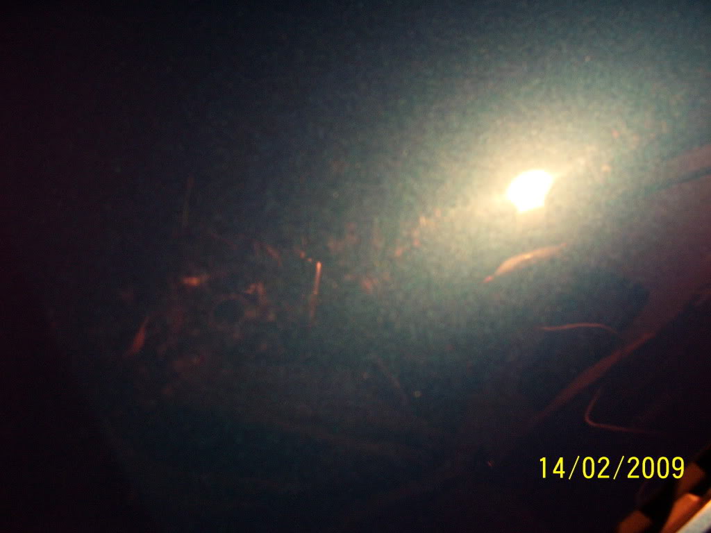 100_0475.jpg 100_0475.jpg
