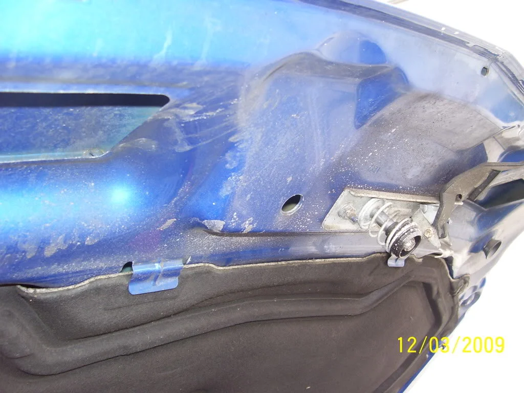 100_0539.webp