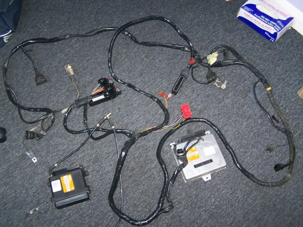 100_0888.webp