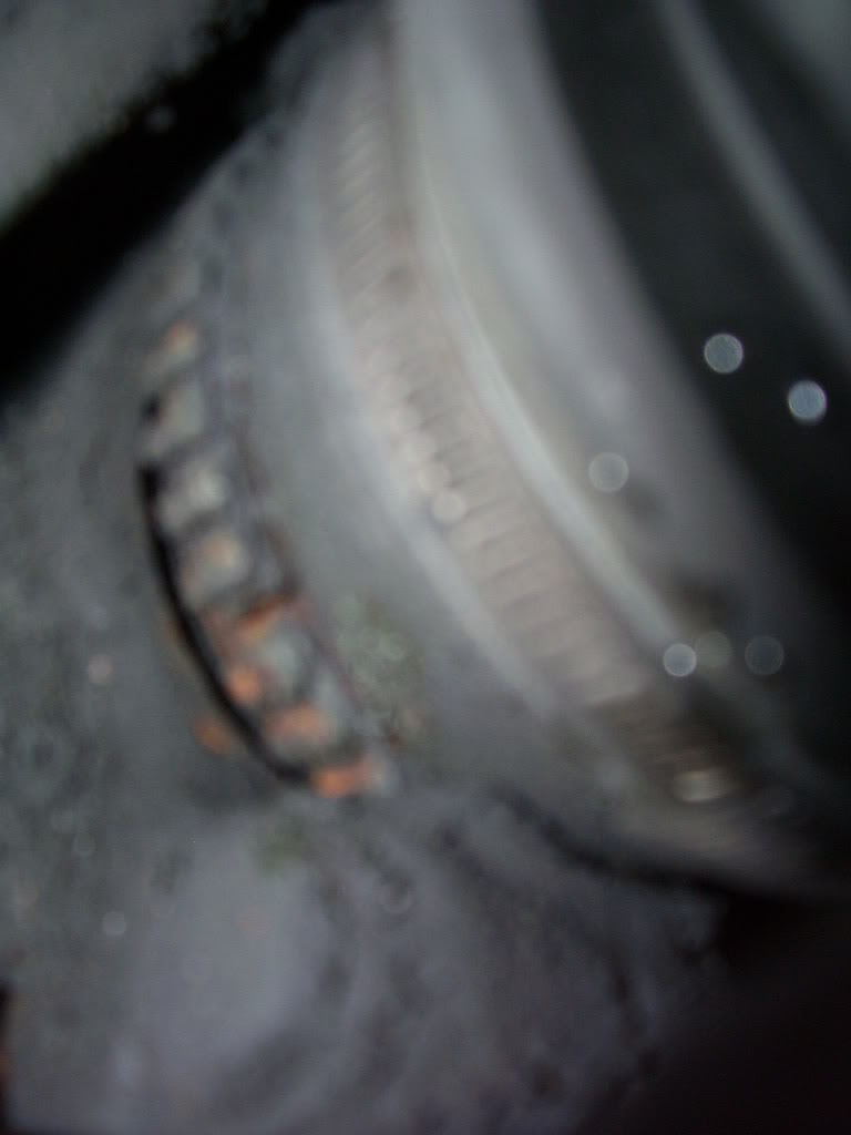 100_0897.jpg