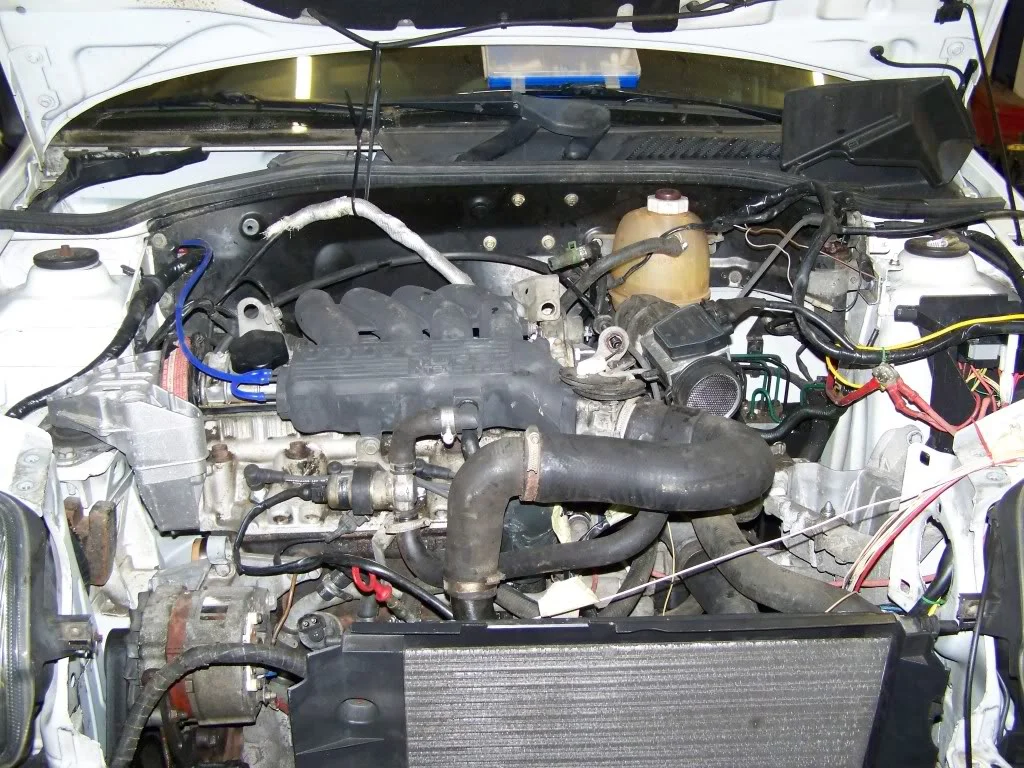 100_0984.webp