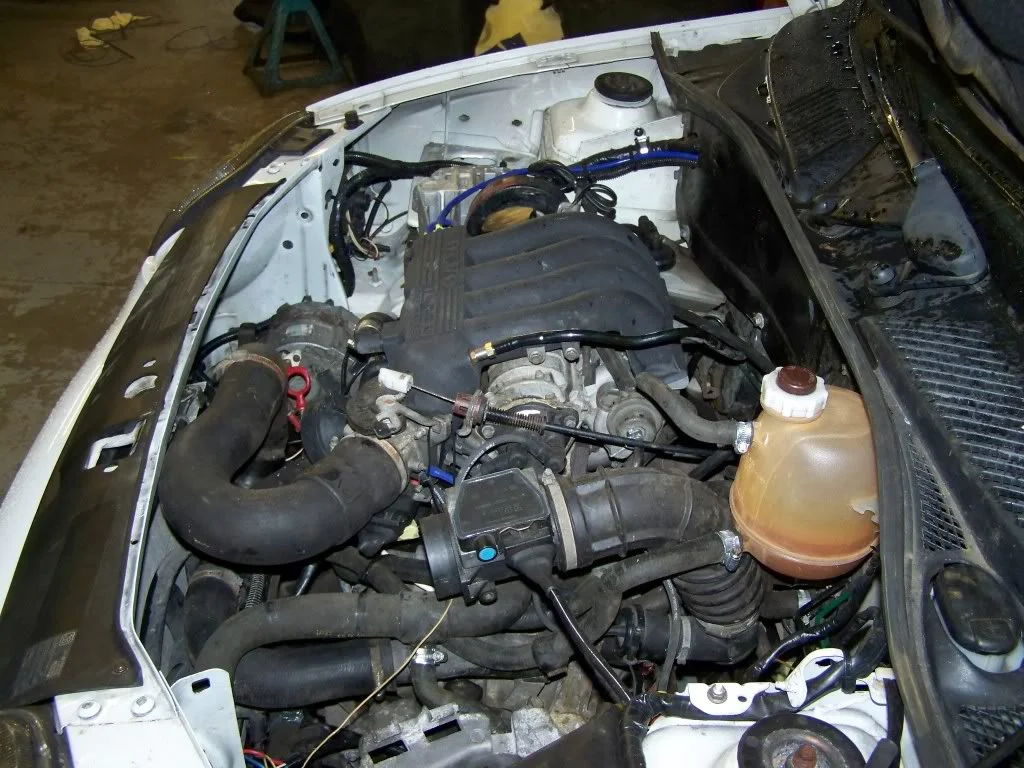 100_1005.webp