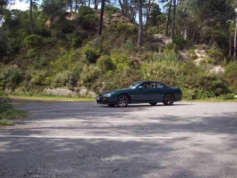 100_1045.webp