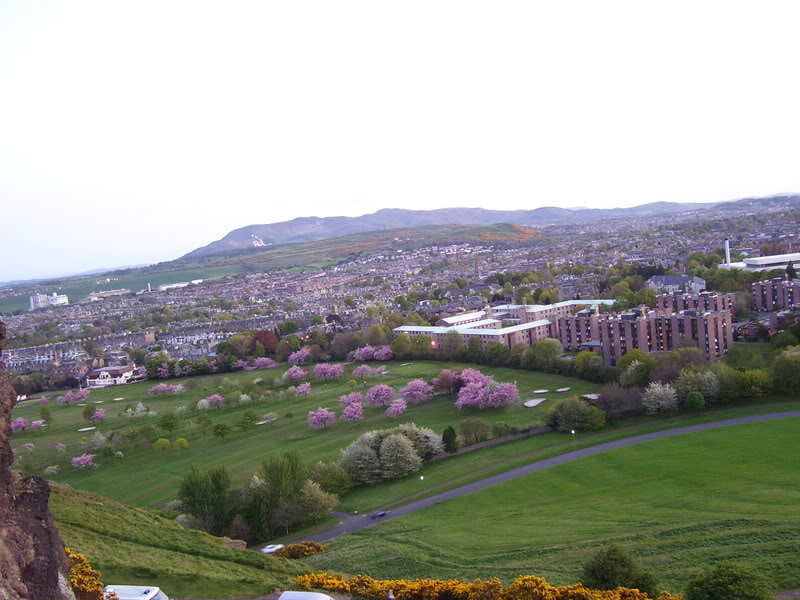 100_1271.jpg
