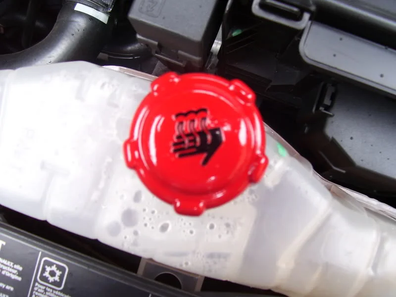 100_1278.webp