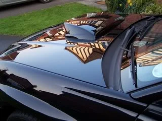 100_1337.webp