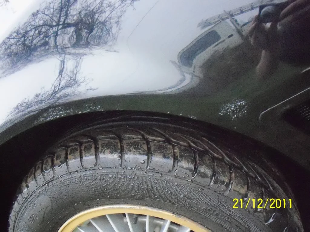 100_1530.webp