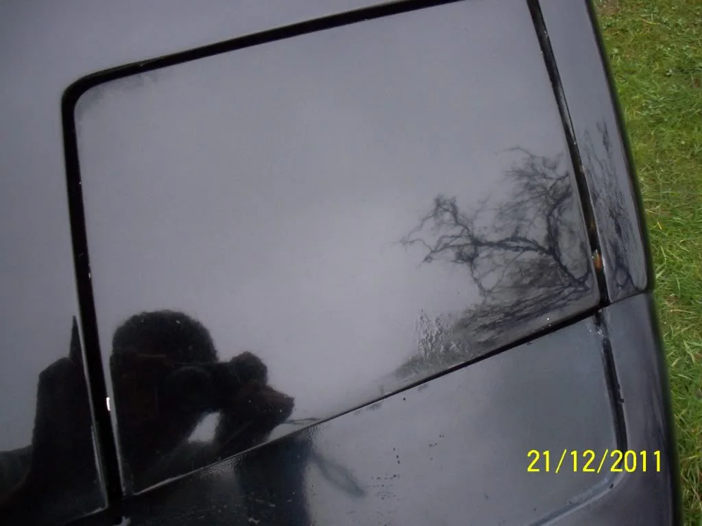 100_1531.webp