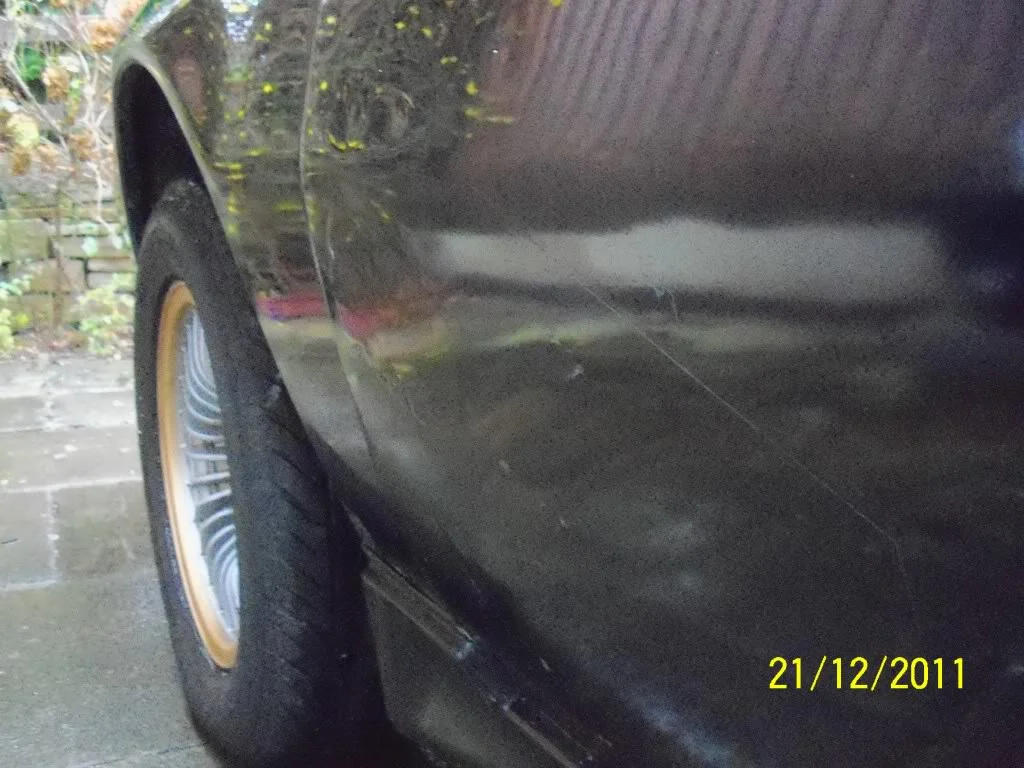 100_1538.webp