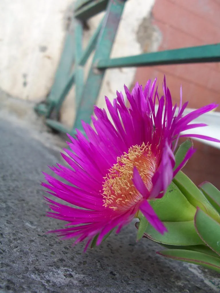 100_1772.webp