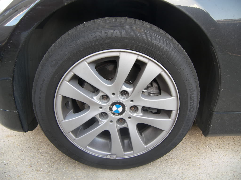 100_3111.jpg 100_3111.jpg