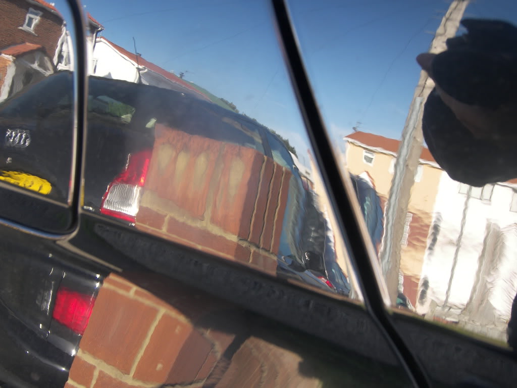 100_3113.jpg 100_3113.jpg