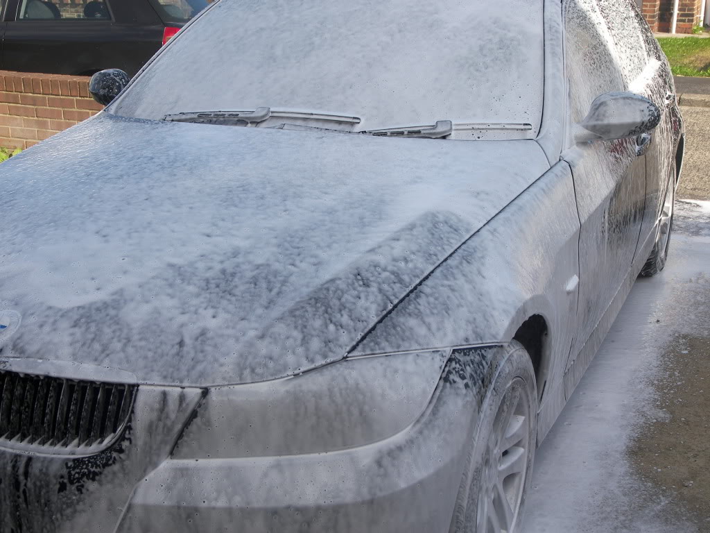 100_3121.jpg 100_3121.jpg