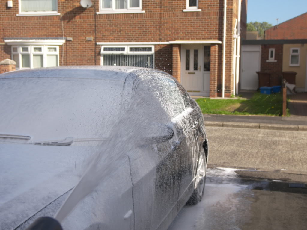 100_3122.jpg 100_3122.jpg