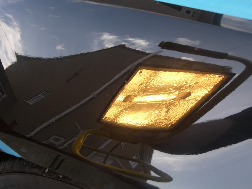 100_3123.jpg 100_3123.jpg