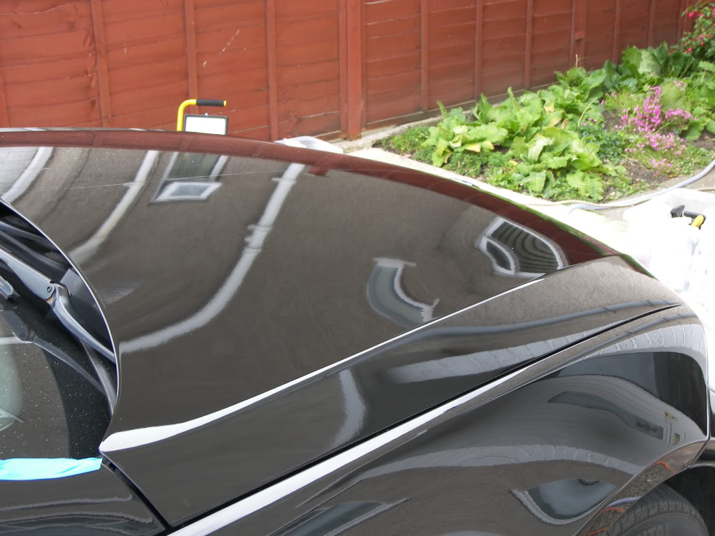 100_3145.jpg 100_3145.jpg