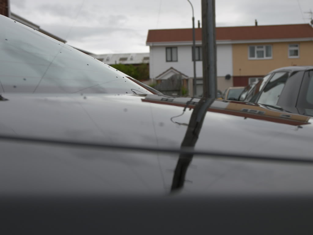 100_3150.jpg 100_3150.jpg