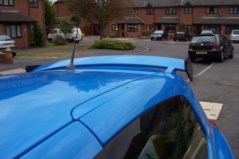 100_5981.jpg 100_5981.jpg