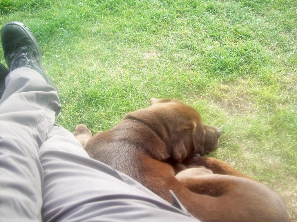 101_1092.jpg
