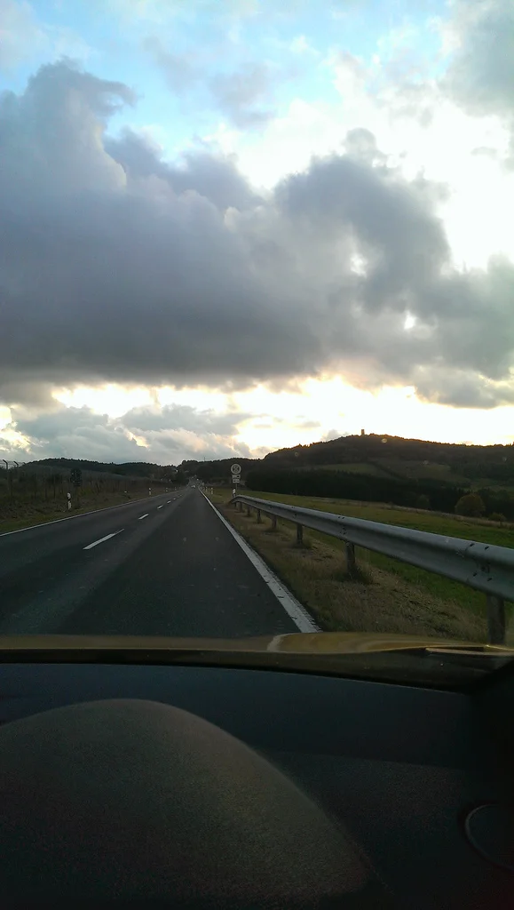 10227017845_c8f9d856f6_b.webp