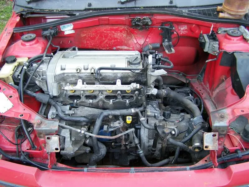 102_0775.webp