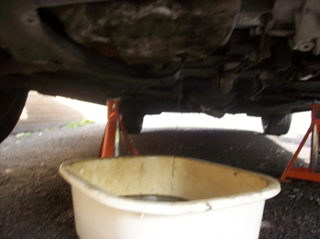 103_0175.webp
