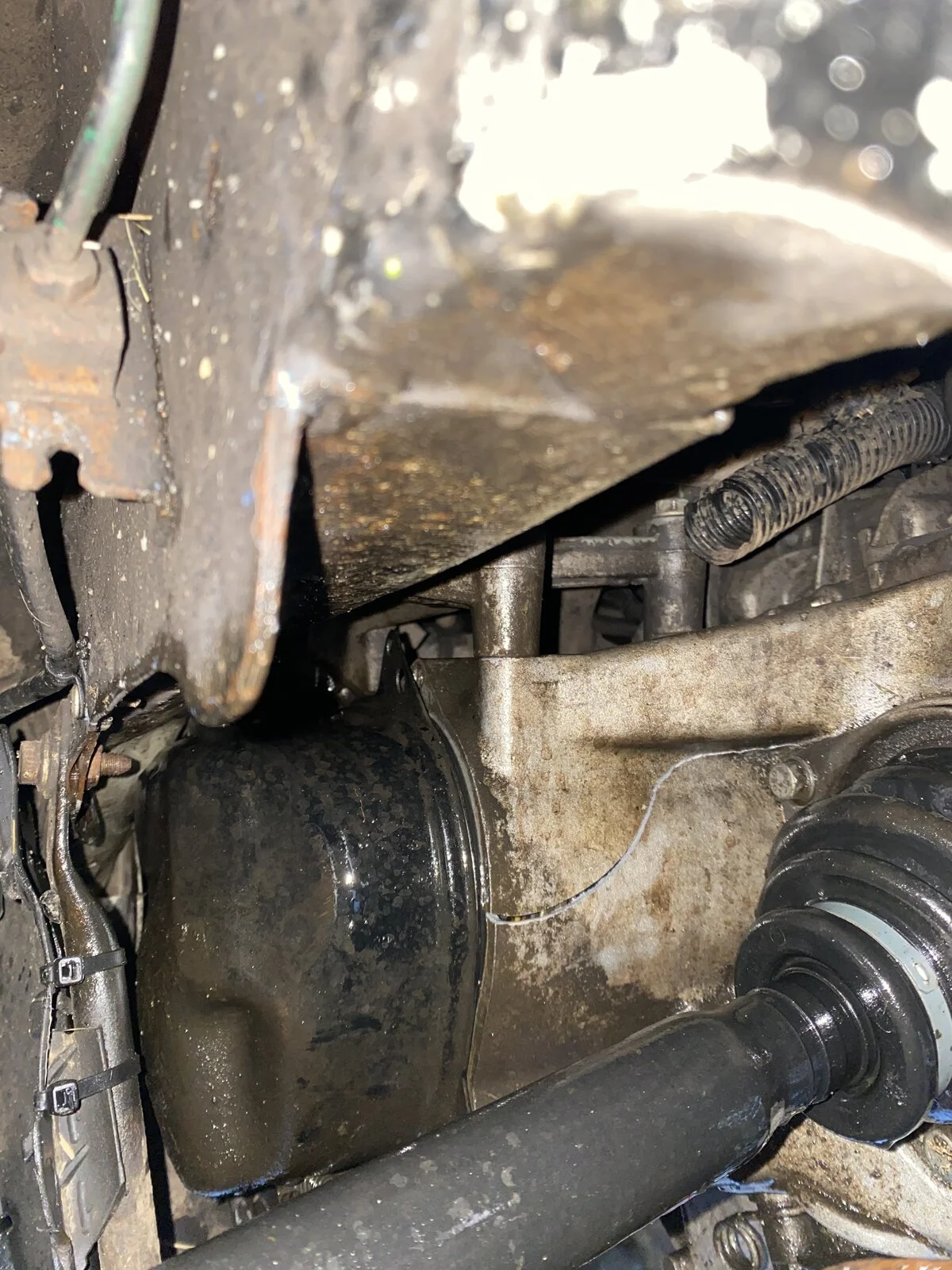 1041A727-0D02-4788-A57D-91672A87F405.webp