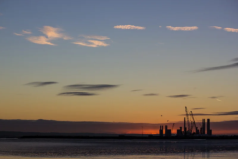 10464745996_22f27b9142_c.webp