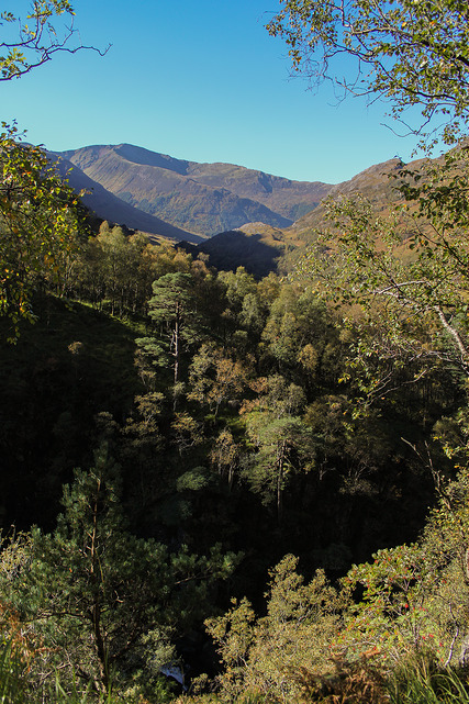 10479399274_3d708c8950_z.jpg