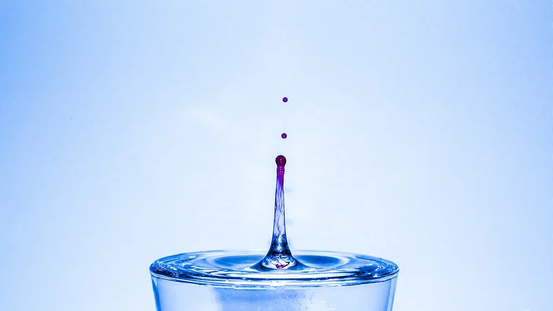 10501294114_89445ec7ea_c.webp