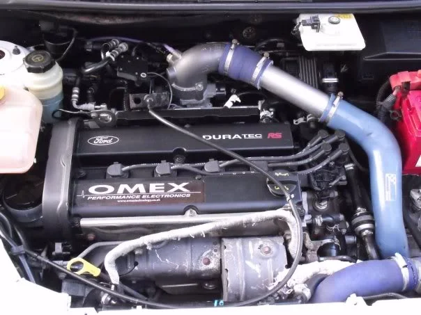 11233_310439235598_613730598_978641.webp