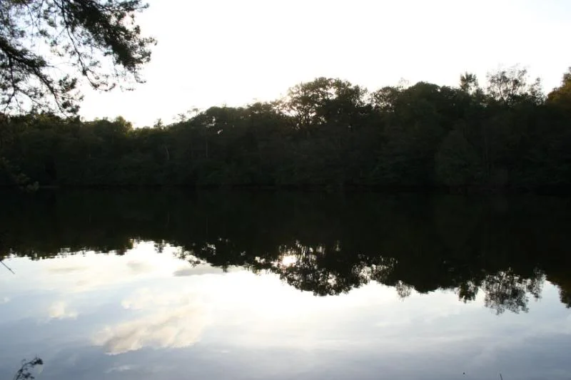 114.webp