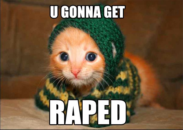 1169988171-Gonna_get_raped_cat.b.jpg