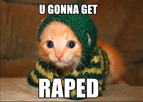1169988171-Gonna_get_raped_cat.b.webp
