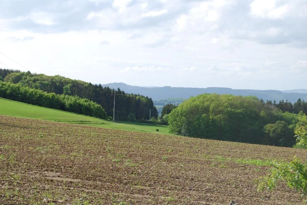 118.webp
