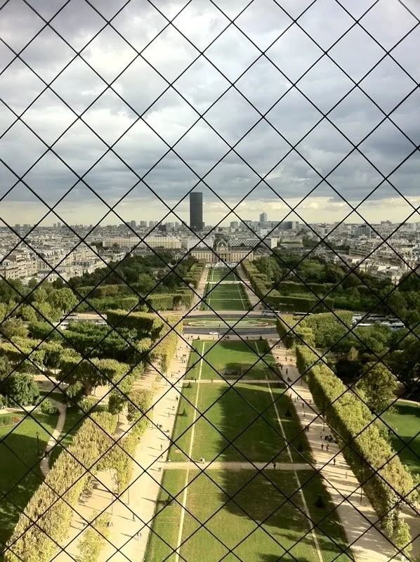 12.webp