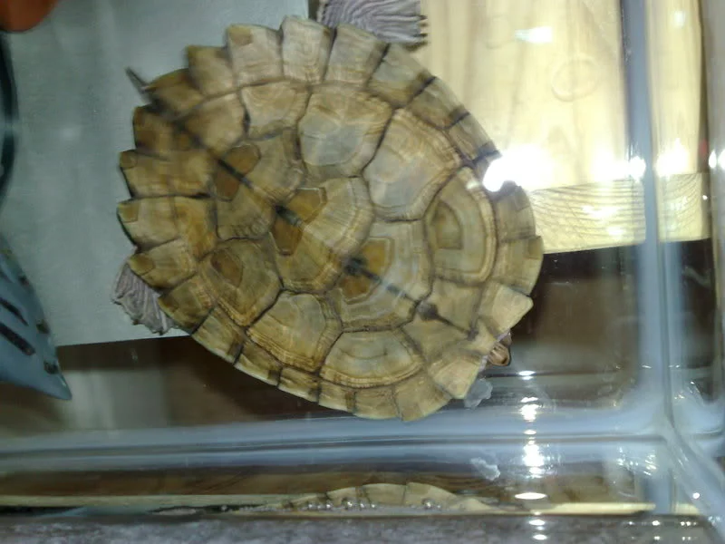 12032008327.webp