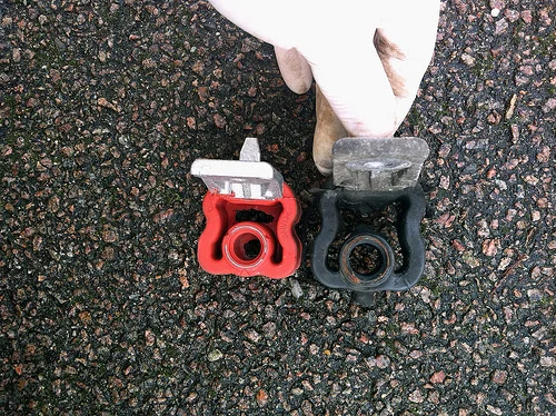12178477794_76211ce0c2.webp