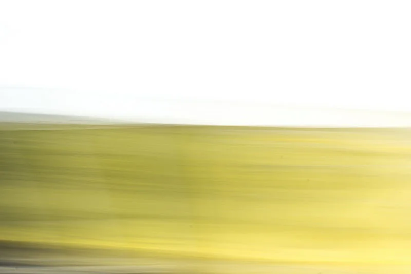 12205773273_ebfbf62c17_c.webp